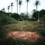 Two graves in Bolama's cemetery.